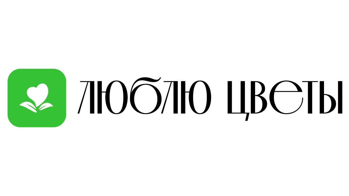 Доставка цветов - Шахунья | Купить цветы и букеты - Недорого -  Круглосуточно | Заказ на дом от интернет-магазина «Люблю цветы»